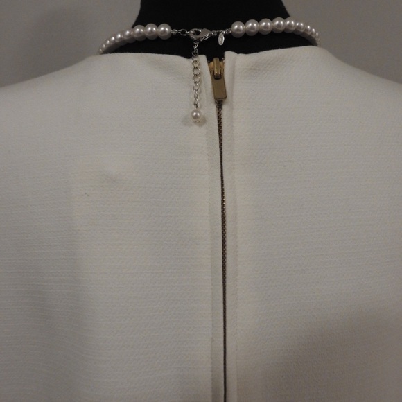 Color Block Shift Dress - Picture 5 of 6